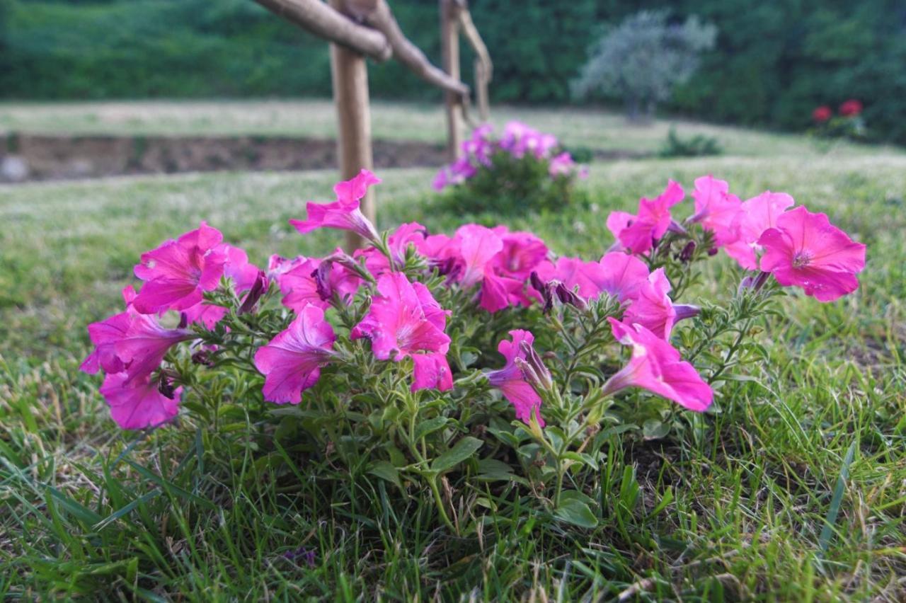 Agriturismo Poggio Ridulfo فولتيرا المظهر الخارجي الصورة